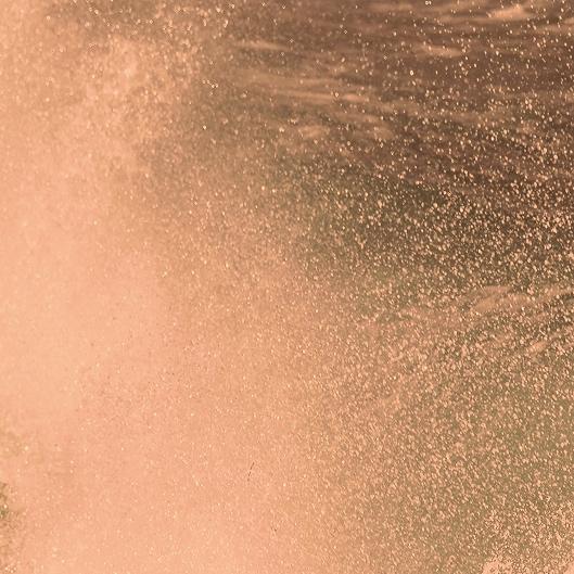 Sunkissed Membership